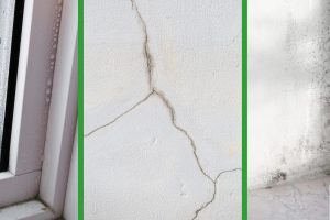 Formations – Vrai / Faux : Pathologies du bâtiment