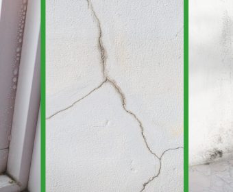 Formations – Vrai / Faux : Pathologies du bâtiment