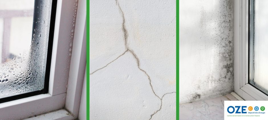 Formations – Vrai / Faux : Pathologies du bâtiment